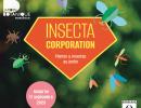 Insecta corporation, plantes et insectes au jardin