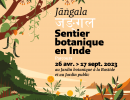 जङ्ग ल Jangala, sentier botanique en Inde