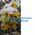 Programmation des vacances de février au Jardin botanique